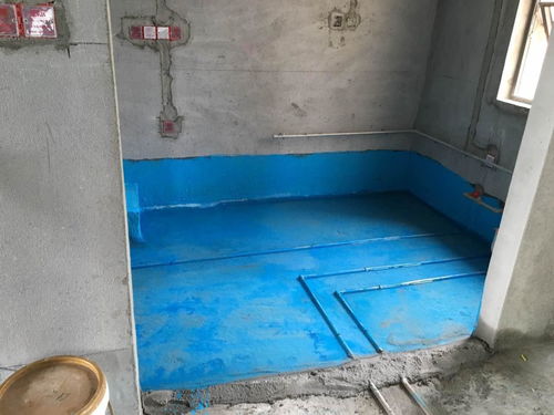 补漏防水用什么材料好 卫生间补漏防水方法(打孔补漏用的是什么水)