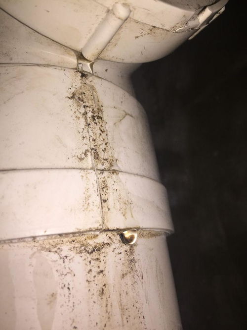 卫生间下水管道接口处渗水,怎么处理最好,用哪种防水胶可以堵住(洗手间堵漏胶)