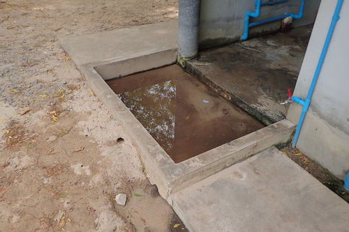 水池渗漏用什么防水材料好(水泥水池漏水用什么补漏最好)
