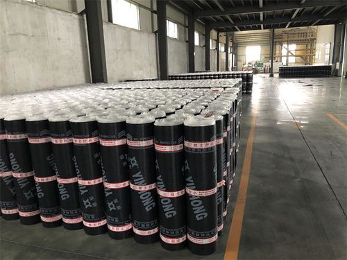 sbs防水卷材规格尺寸 高手进 (防水材料sbs自粘卷材尺寸)