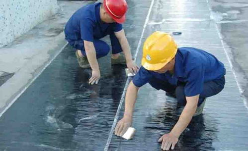 防水材料有哪几种 (防水材料名称和种类)