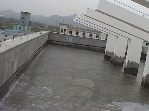 防水补漏钢钉天花板漏水为什么要钉钉子